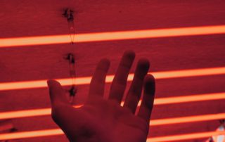 red light therapy update