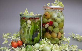 lymphedema nutrition and fermented foods